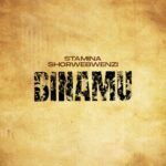 Download Audio | Stamina Ft. MwanaFA – Binamu Remix